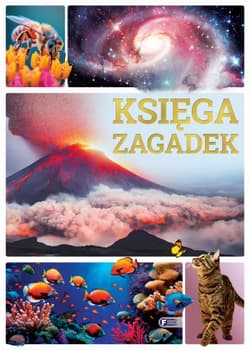 Księga zagadek - Opracowanie Zbiorowe