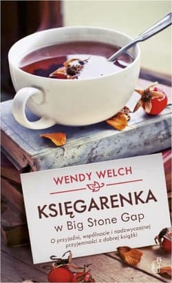 Księgarenka w Big Stone Gap O przyjaźni, wspólnocie i nadzwyczajnej przyjemności z dobrej książki - Wendy Welch