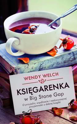 Księgarenka w Big Stone Gap O przyjaźni, wspólnocie i nadzwyczajnej przyjemności z dobrej książki - Wendy Welch