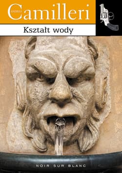 Kształt wody - ebook