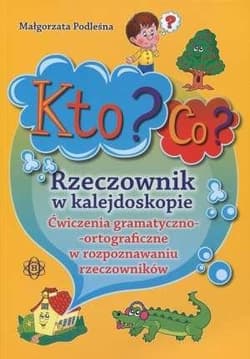 Kto? Co? Rzeczownik w kalejdoskopie
