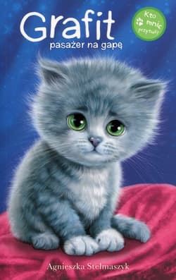 Kto mnie przytuli? Grafit pasażer na gapę