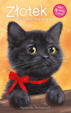 Kto mnie przytuli Złotek kocurek z charakterem