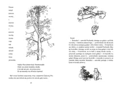 Galeria - zdjęcie nr. 3 - Kubuś Puchatek
