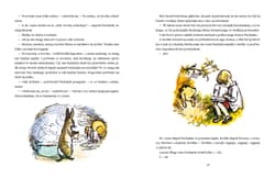 Galeria - zdjęcie nr. 3 - Kubuś Puchatek Chatka Puchatka