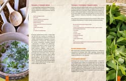 Galeria - zdjęcie nr. 2 - Kuchnia Słowian czyli o poszukiwaniu dawnych smaków