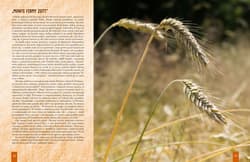 Galeria - zdjęcie nr. 4 - Kuchnia Słowian czyli o poszukiwaniu dawnych smaków