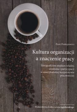 Kultura organizacji a znaczenie pracy Etnograficzne studium władzy, działania i partycypacji w amerykańskiej kooperatywie pracowniczej - Piotr Prokopowicz