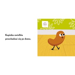 Galeria - zdjęcie nr. 2 - Kupinka