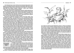 Galeria - zdjęcie nr. 4 - Kwiatki św. Franciszka z Asyżu Wydanie z opracowaniem