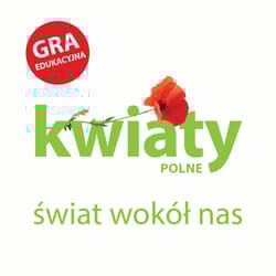 Kwiaty polne Świat wokół nas Gra edukacyjna