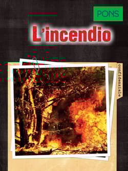 L'incendio B1 PONS - Opracowanie Zbiorowe