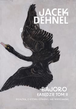 Galeria - zdjęcie nr. 2 - Łabędzie