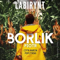 Labirynt - audiobook - Piotr Borlik