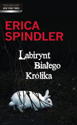 Labirynt Białego Królika