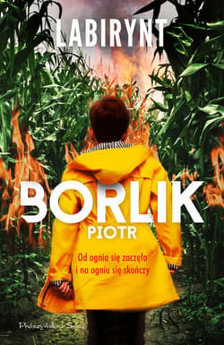 Labirynt - ebook - Piotr Borlik