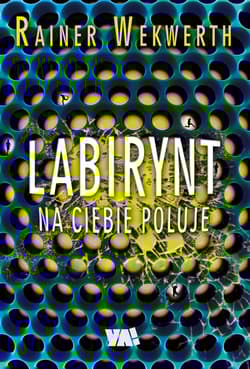 Labirynt na ciebie poluje - Rainer Wekwerth