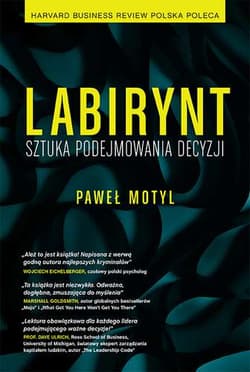 Labirynt Sztuka podejmowania decyzji - Paweł Motyl