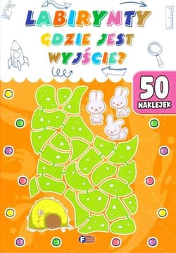 Labirynty. Gdzie jest wyjście? - Praca zbiorowa