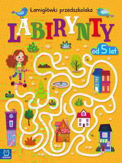 Labirynty. Łamigłówki przedszkolaka od 5 lat - Beata Karlik