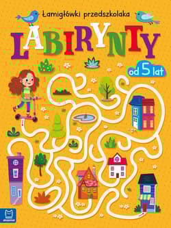 Labirynty. Łamigłówki przedszkolaka od 5 lat - Beata Karlik