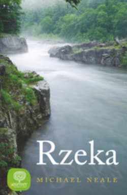 Labirynty. Rzeka - Michael Neale