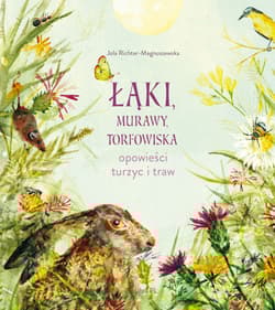 Łąki, murawy, torfowiska. Opowieści turzyc i traw - Jolanta Richter-Magnuszewska