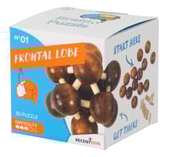 Łamigłówka Brain Puzzle 1 Frontal Lobe Recent Toys poziom 3/5