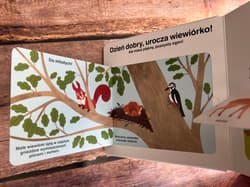 Galeria - zdjęcie nr. 2 - Las. Akademia mądrego dziecka. Moja książeczka z okienkami