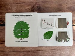 Galeria - zdjęcie nr. 3 - Las. Akademia mądrego dziecka. Moja książeczka z okienkami