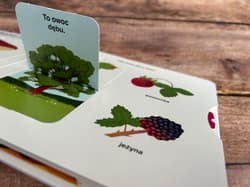 Galeria - zdjęcie nr. 4 - Las. Akademia mądrego dziecka. Moja książeczka z okienkami