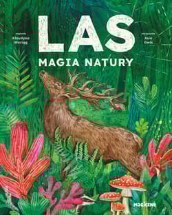 Las. Magia natury - Klaudyna Maciąg