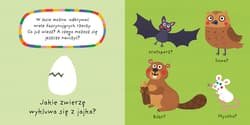 Galeria - zdjęcie nr. 2 - LAS. Mój kolorowy quiz