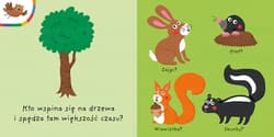 Galeria - zdjęcie nr. 3 - LAS. Mój kolorowy quiz