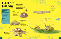 Galeria - zdjęcie nr. 3 - Las wita was!. Zabawy na świeżym powietrzu i arcydzieła z darów natury