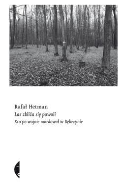 Las zbliża się powoli - ebook - Rafał Hetman