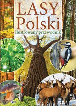 Lasy Polski Ilustrowany przewodnik - Opracowanie Zbiorowe