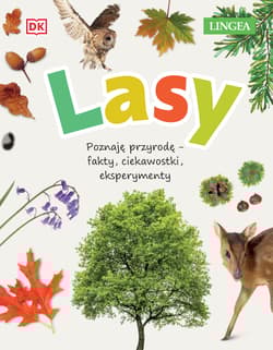 Lasy Poznaję przyrodę - fakty, ciekawostki, eksperymenty - Jamie Ambrose