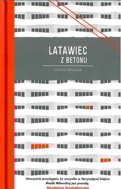 Latawiec z betonu - Milewska Monika