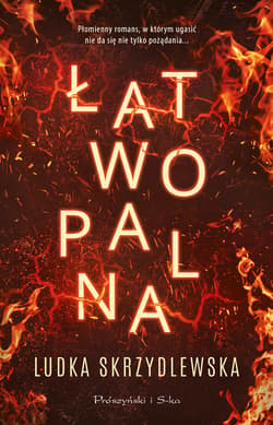 Łatwopalna - ebook - Ludka Skrzydlewska