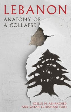 Lebanon. Anatomy of a Collapse - Joelle M. Abi-Rached