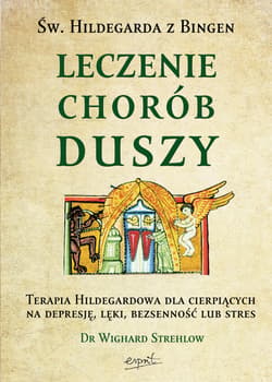 Leczenie chorób duszy - ebook - Wighard Strehlow
