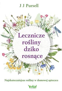 Lecznicze rośliny dziko rosnące Najskuteczniejsze rośliny w domowej apteczce