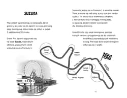 Galeria - zdjęcie nr. 2 - Legendy Formuły 1. Max Verstappen