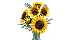 Galeria - zdjęcie nr. 2 - LEGO Botanicals Bukiet Słoneczników 11502