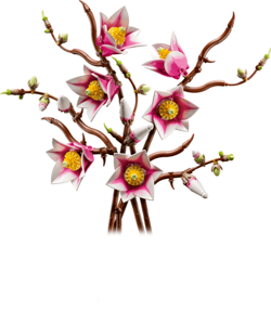 Galeria - zdjęcie nr. 2 - LEGO Botanicals Gałązki Magnolii 11510