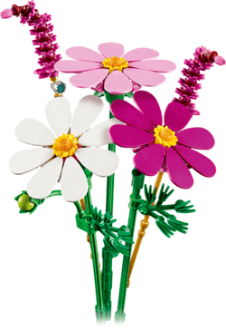 Galeria - zdjęcie nr. 4 - LEGO Botanicals Kosmosy 11514