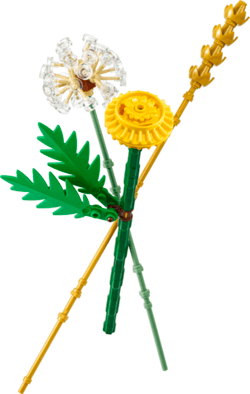 Galeria - zdjęcie nr. 3 - LEGO Botanicals Kwiaty polne 30701