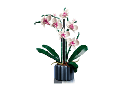 Galeria - zdjęcie nr. 2 - LEGO Botanicals Orchidea 10311