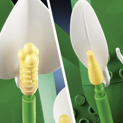 Galeria - zdjęcie nr. 2 - Lego Botanicals Skrzydłokwiat 11504